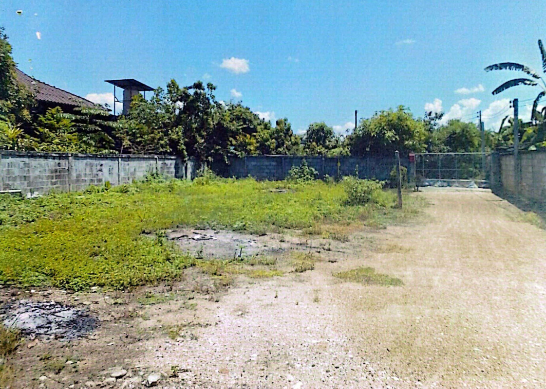 ที่ดินเปล่า เชียงใหม่ แม่แตง ช่อแล 75000