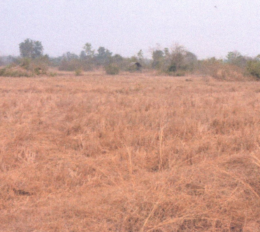 ที่ดินเปล่า แพร่ เมืองแพร่ ร่องฟอง 262500