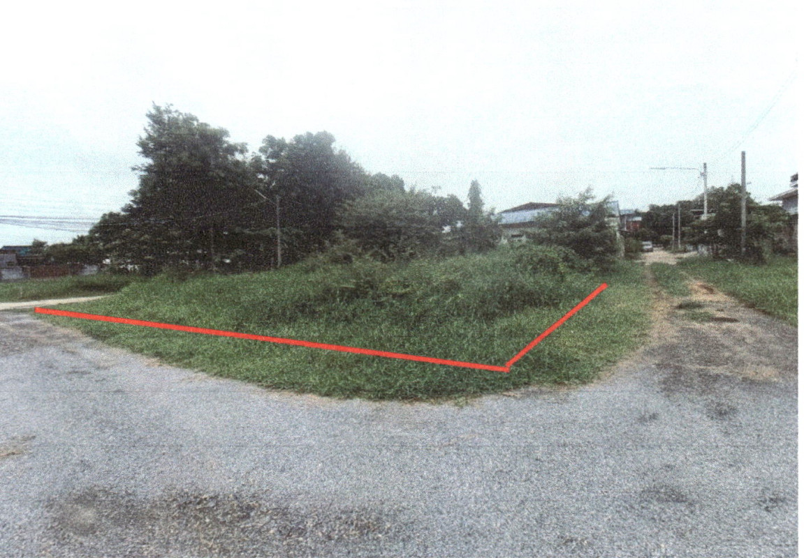 ที่ดินเปล่า พิษณุโลก เมืองพิษณุโลก อรัญญิก 423300