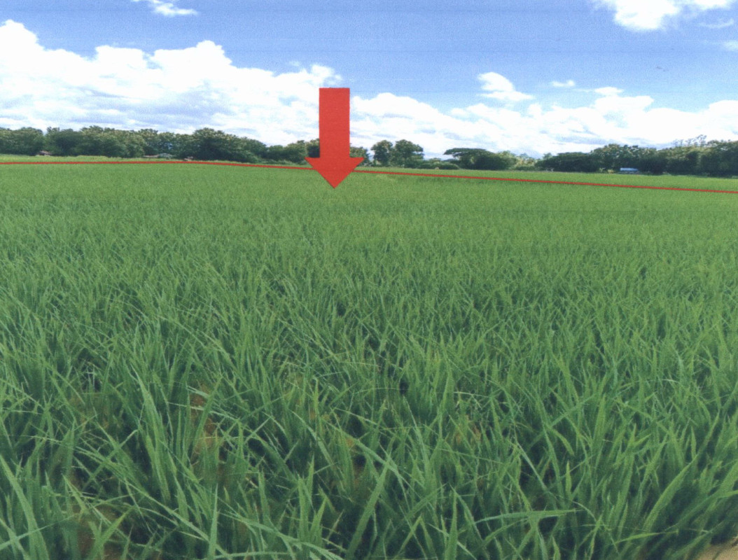 ที่ดินเปล่า แพร่ เมืองแพร่ ป่าแมต 53500