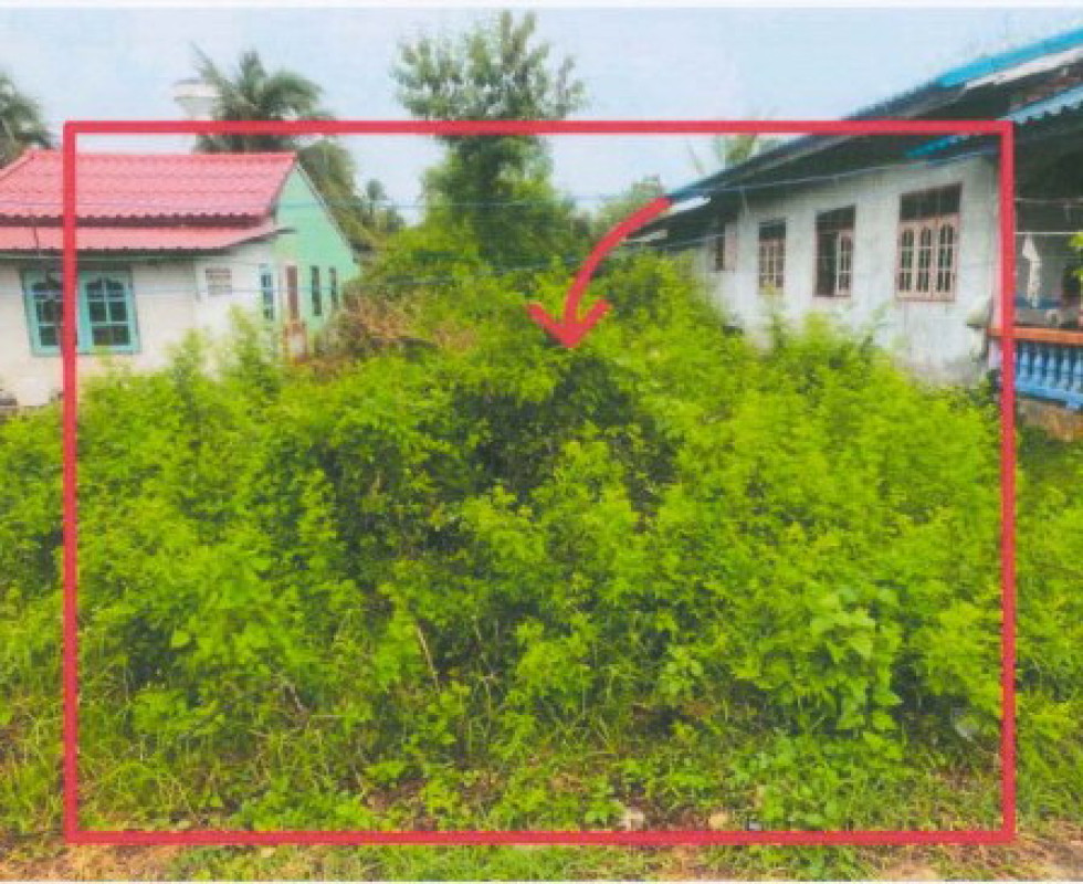 ที่ดินเปล่า สงขลา จะนะ ตลิ่งชัน 29000