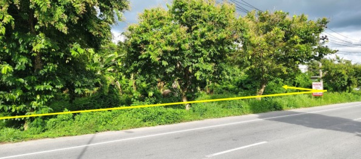 ที่ดินเปล่า นครศรีธรรมราช เมืองนครศรีธรรมราช ปากพูน 7084000