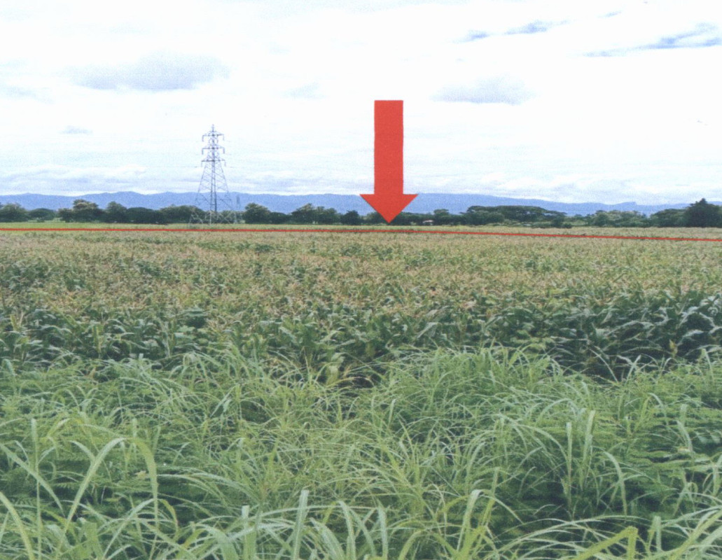 ที่ดินเปล่า แพร่ เมืองแพร่ ป่าแมต 605220