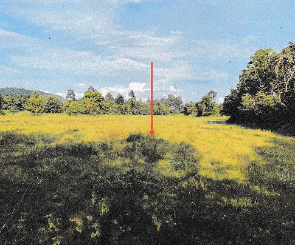 ที่ดินเปล่า ปราจีนบุรี นาดี นาดี 687700