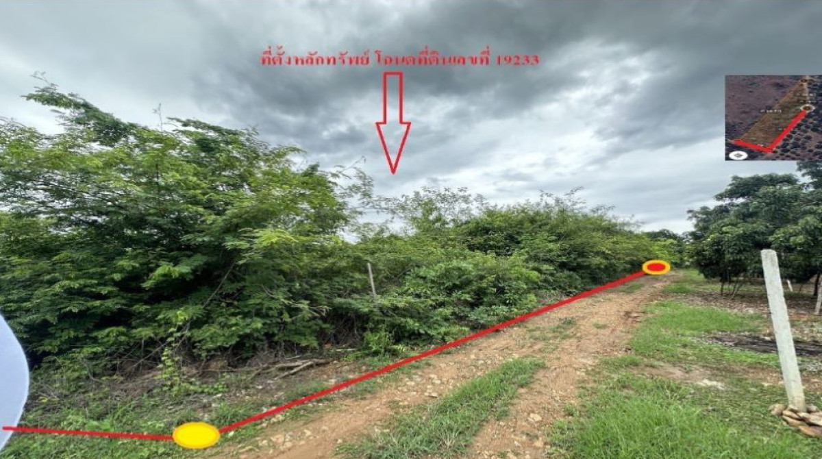 ที่ดินเปล่า ลำพูน บ้านโฮ่ง หนองปลาสะวาย 536066