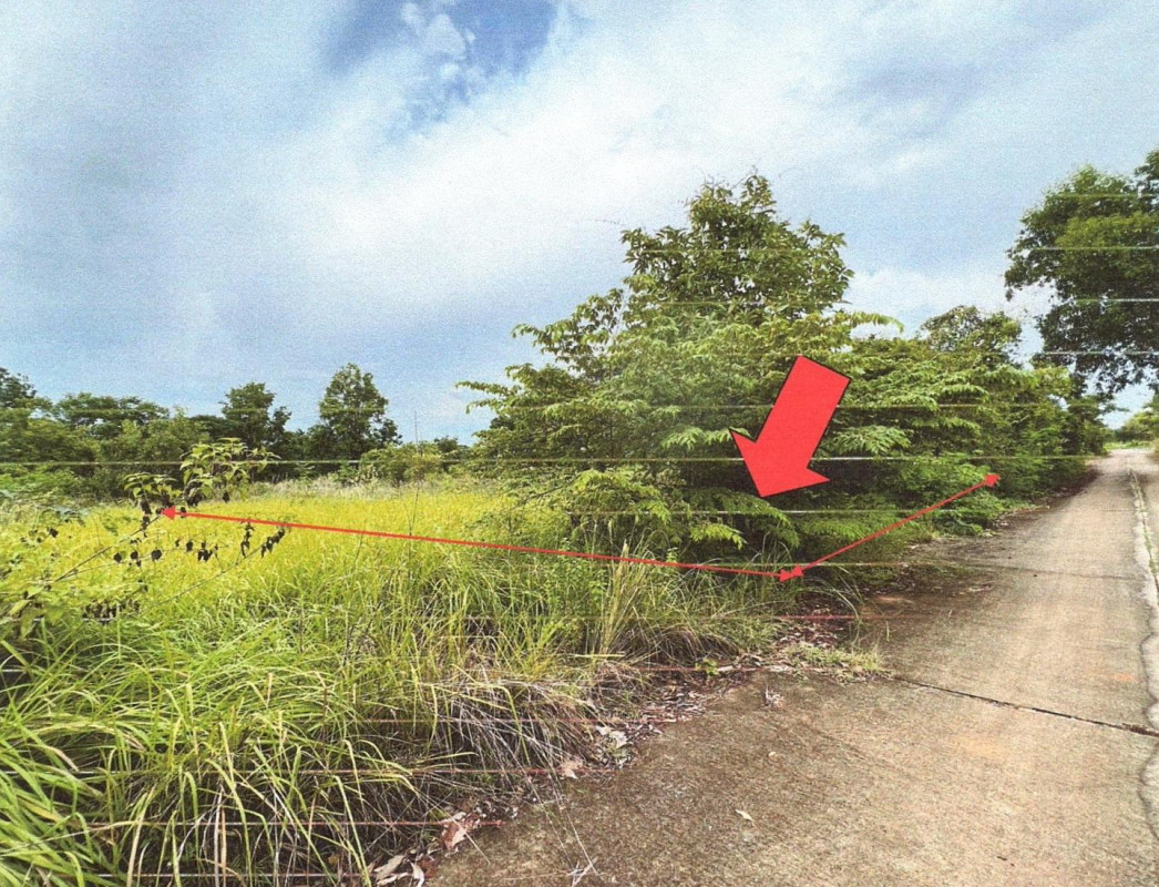 ที่ดินเปล่า ขอนแก่น หนองเรือ บ้านกง 120000