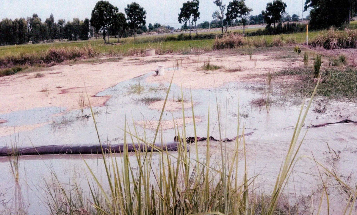 ที่ดินเปล่า พิษณุโลก เมืองพิษณุโลก ดอนทอง 255400