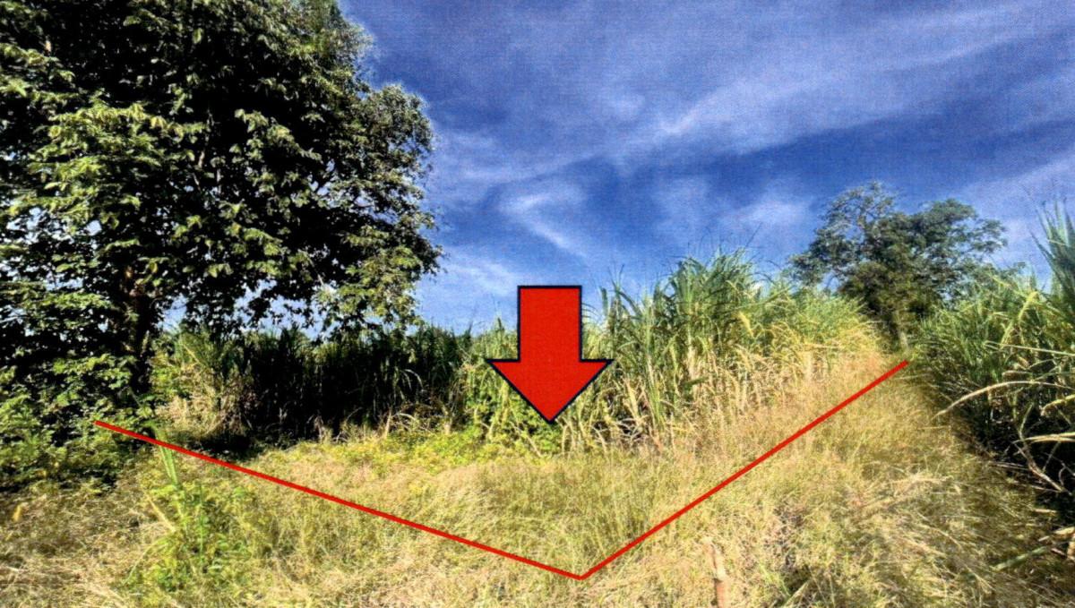 ที่ดินเปล่า ลพบุรี พัฒนานิคม โคกสลุง 678600