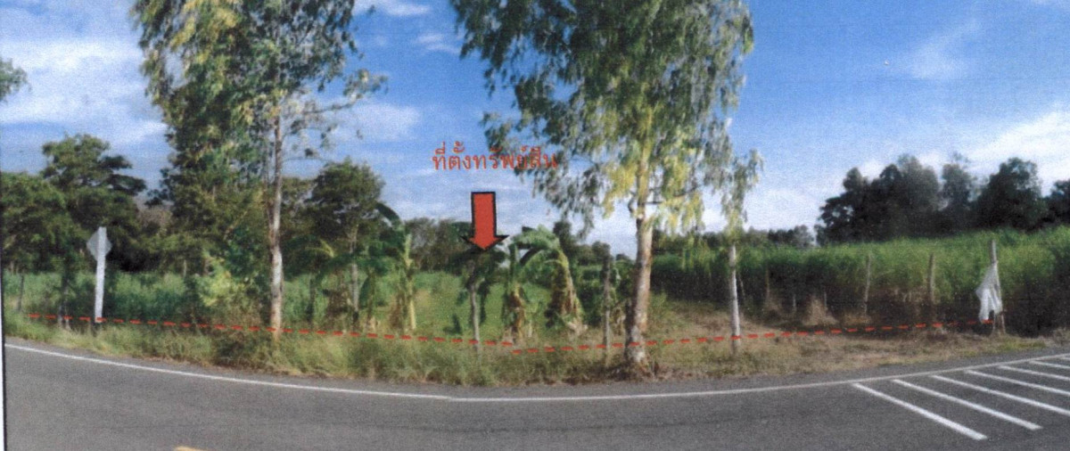 ที่ดินเปล่า บุรีรัมย์ ลำปลายมาศ บุโพธิ์ 2038932