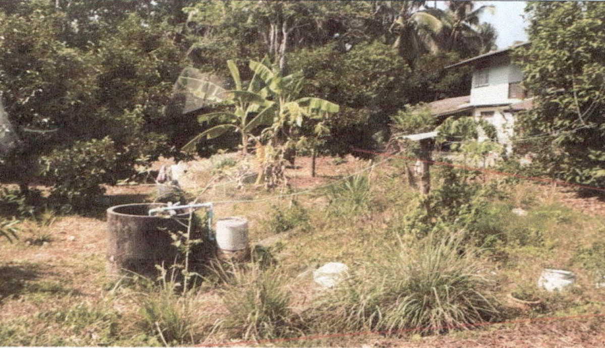 ที่ดินเปล่า พัทลุง ควนขนุน นาขยาด 74550