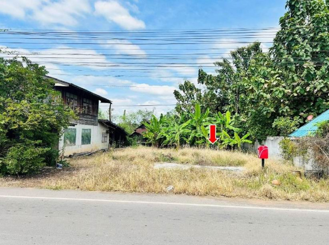 ที่ดินเปล่า นครราชสีมา โชคชัย ทุ่งอรุณ 93000