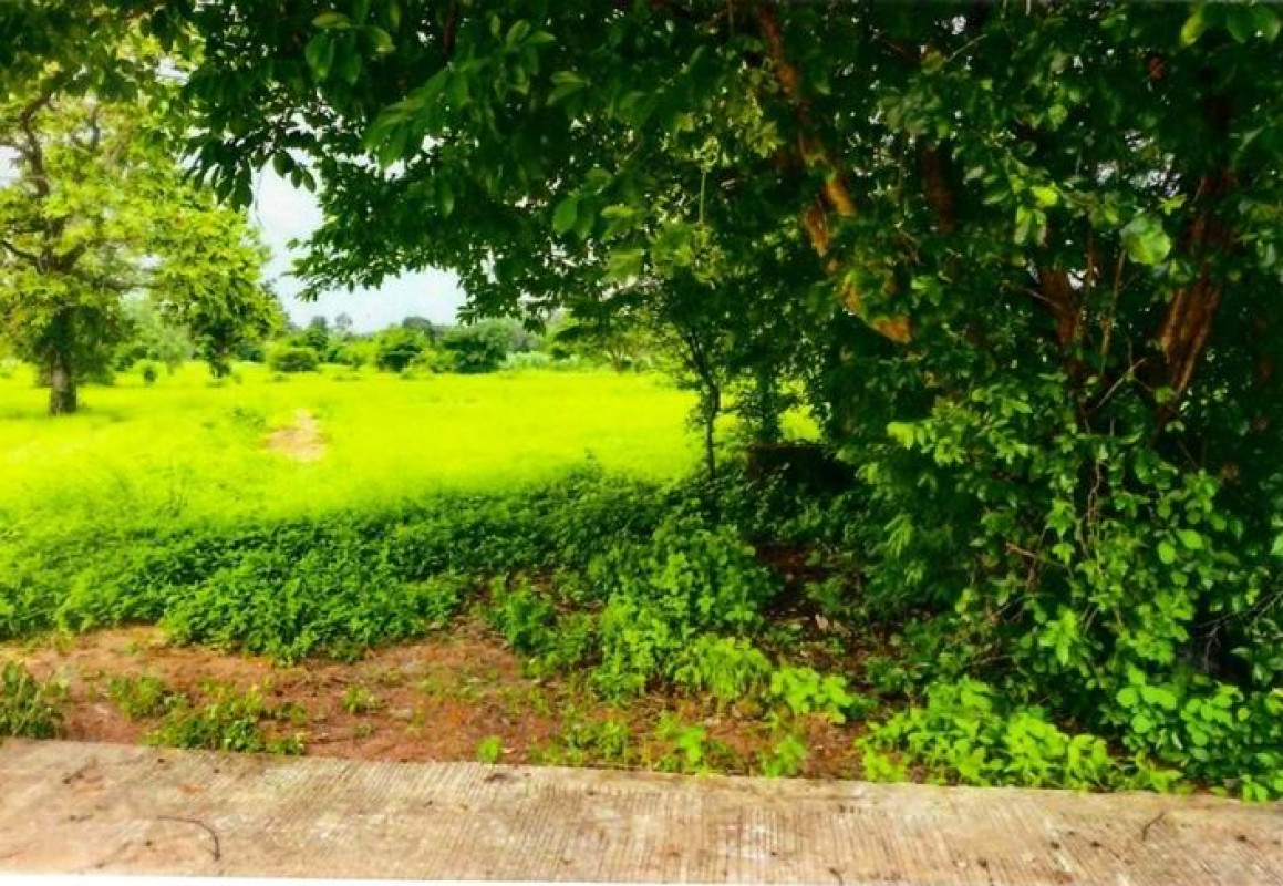 ที่ดินเปล่า อำนาจเจริญ เมืองอำนาจเจริญ นาผือ 262678