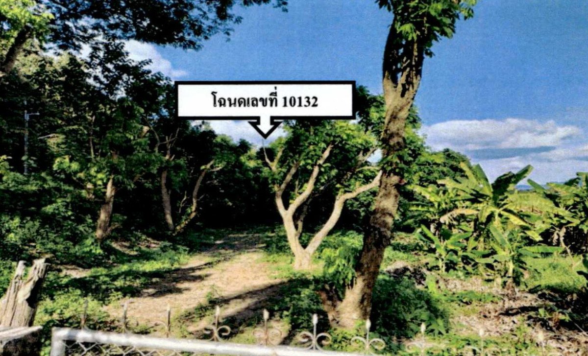 ที่ดินเปล่า ลำปาง แจ้ห่ม วิเชตนคร 173500