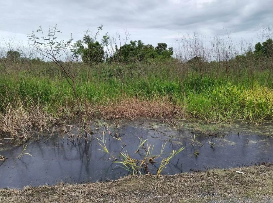 ที่ดินเปล่า นครนายก องครักษ์ องครักษ์ 517400