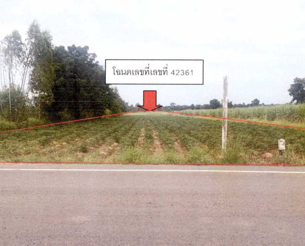 ที่ดินเปล่า บุรีรัมย์ นางรอง ก้านเหลือง 1339125