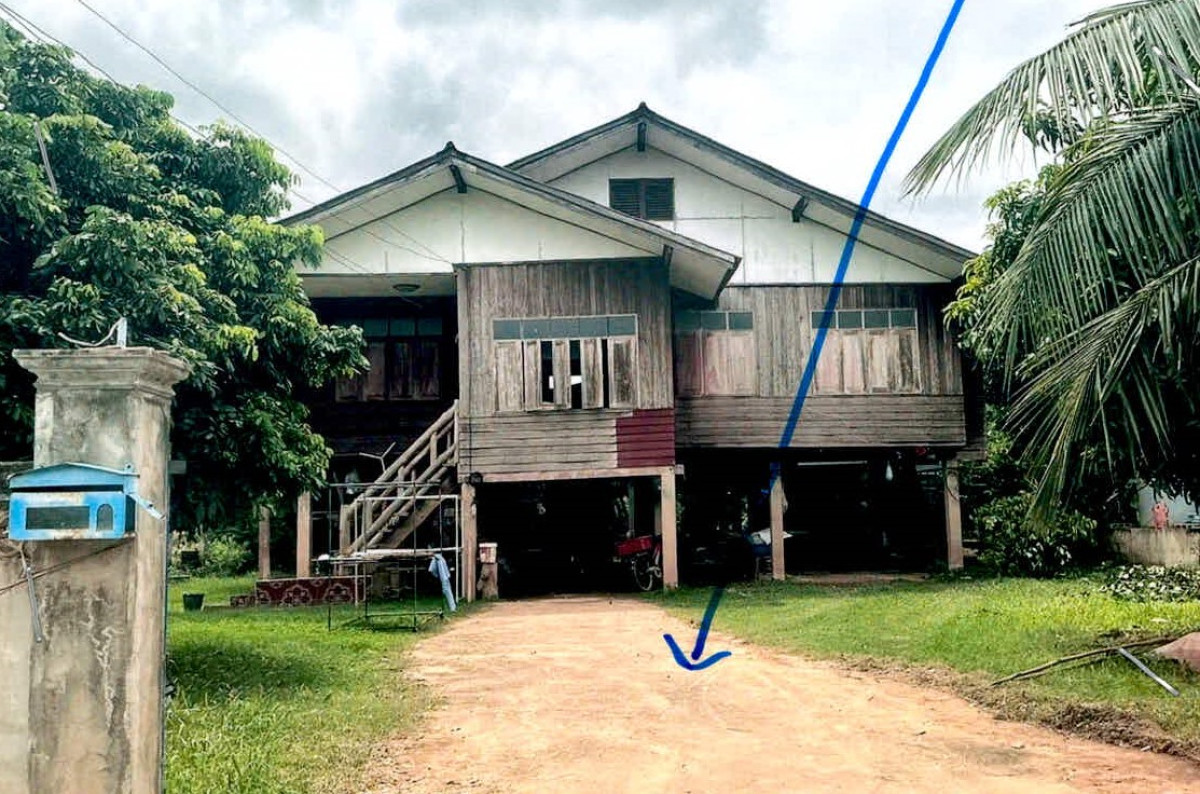 ที่ดินเปล่า น่าน เมืองน่าน กองควาย 151563