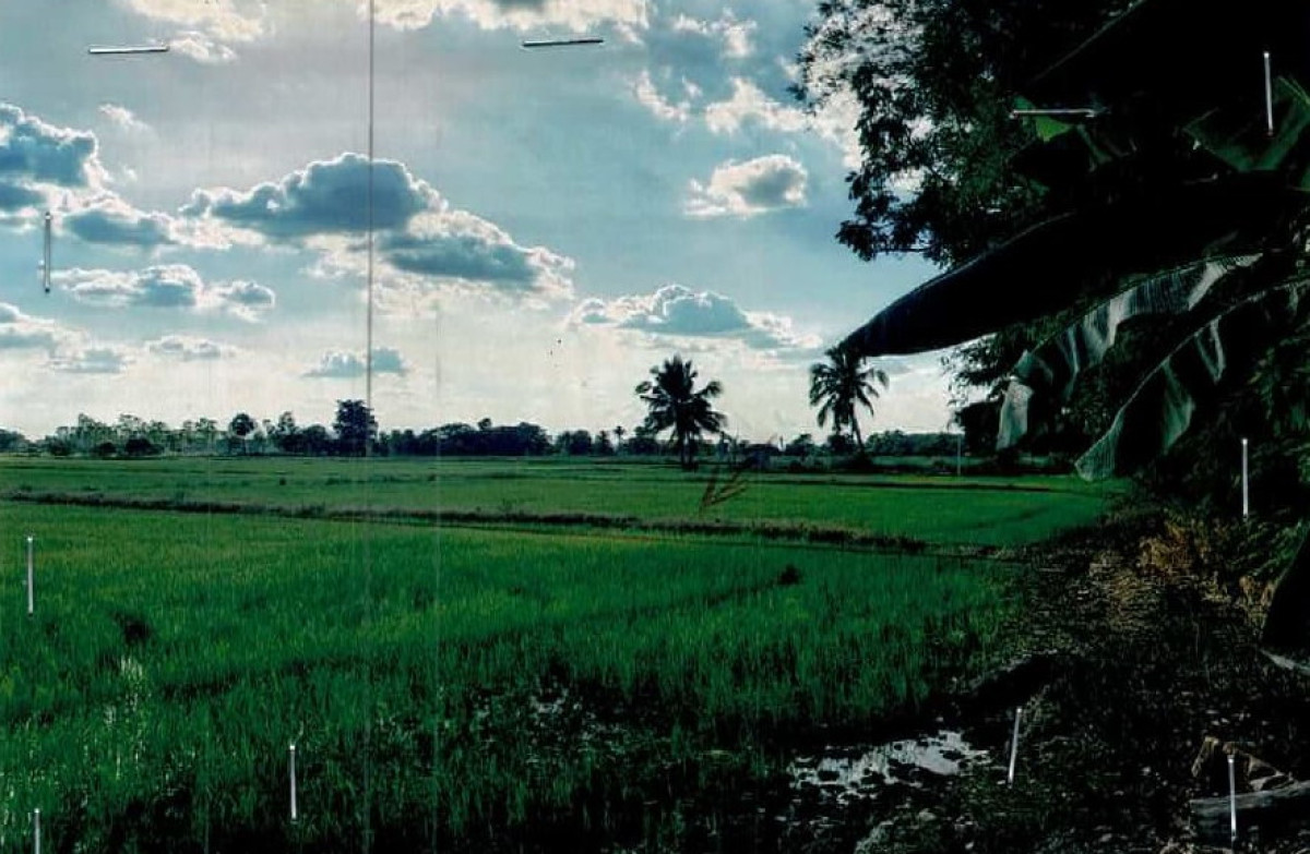 ที่ดินเปล่า สุโขทัย ศรีนคร นครเดิฐ 300225