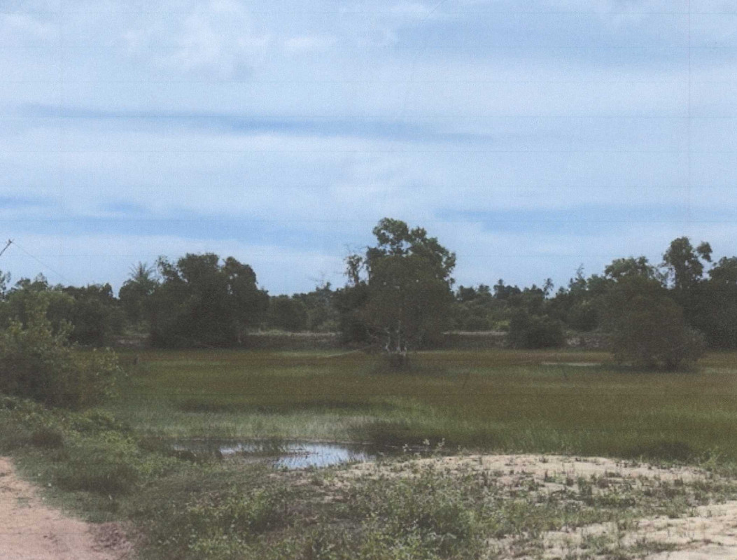 ที่ดินเปล่า ปัตตานี ปะนาเระ ปะนาเระ 195975