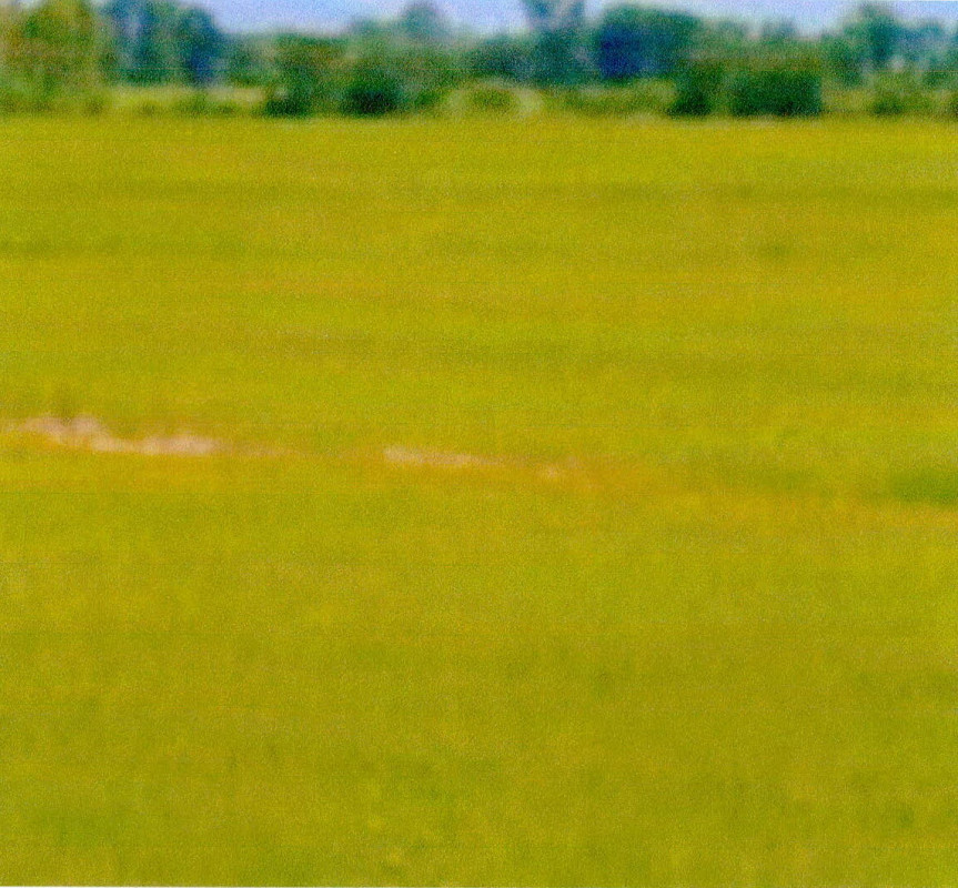 ที่ดินเปล่า กาญจนบุรี ท่ามะกา พระแท่น 142662