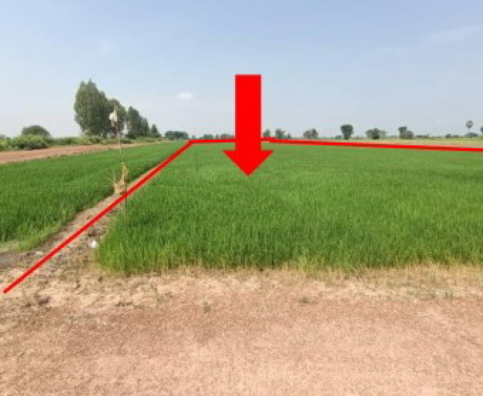 ที่ดินเปล่า พิษณุโลก พรหมพิราม ท่าช้าง 455625