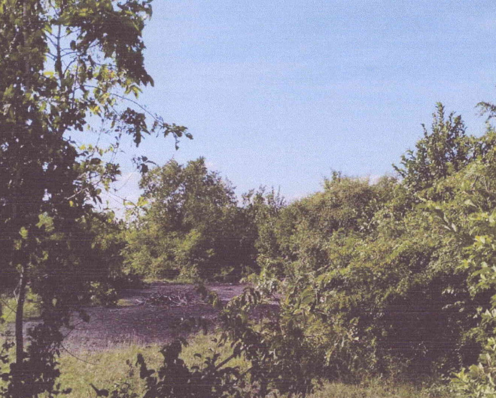 ที่ดินเปล่า ลพบุรี โคกสำโรง ห้วยโป่ง 45500