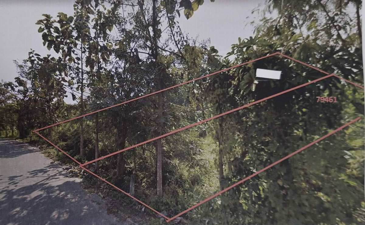 ที่ดินเปล่า เชียงใหม่ สันป่าตอง บ้านแม 200880