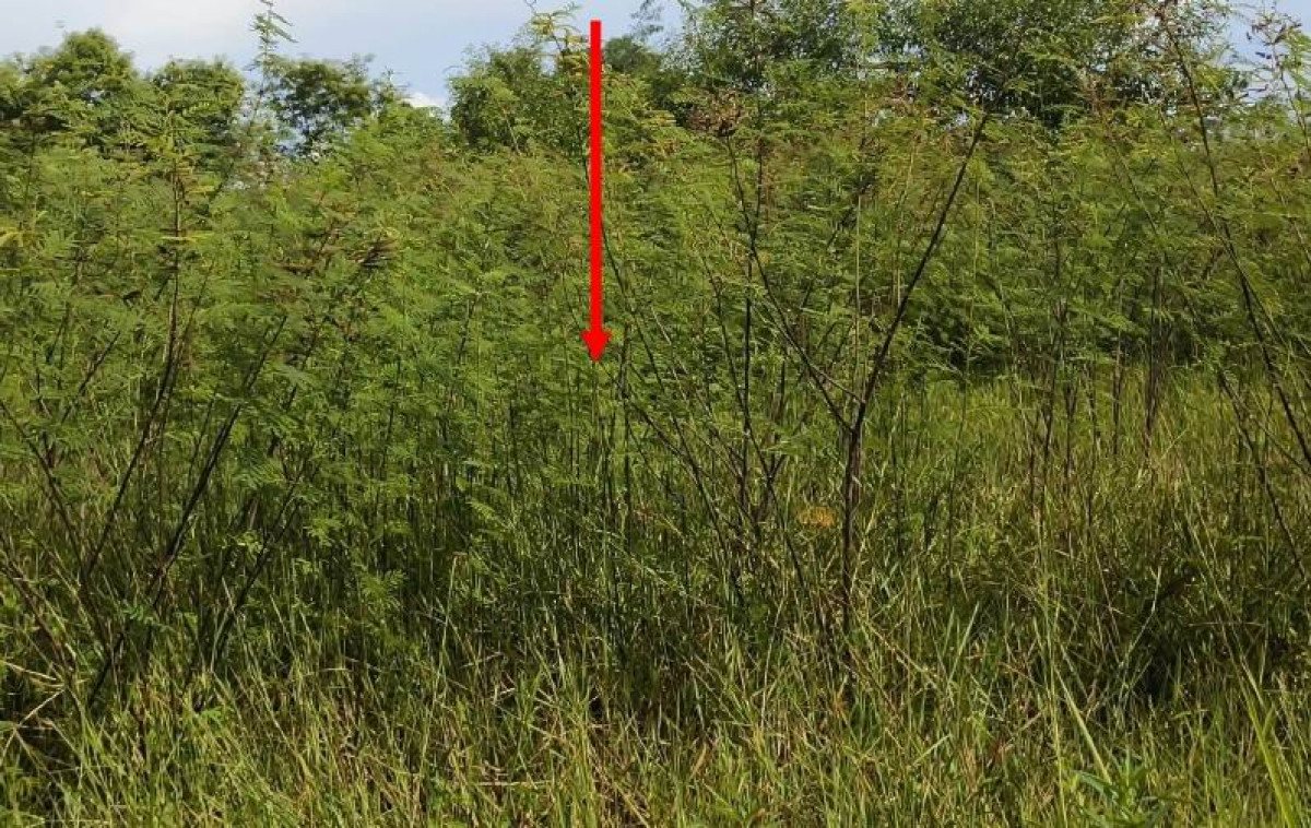 ที่ดินเปล่า นครนายก เมืองนครนายก ท่าทราย 40000