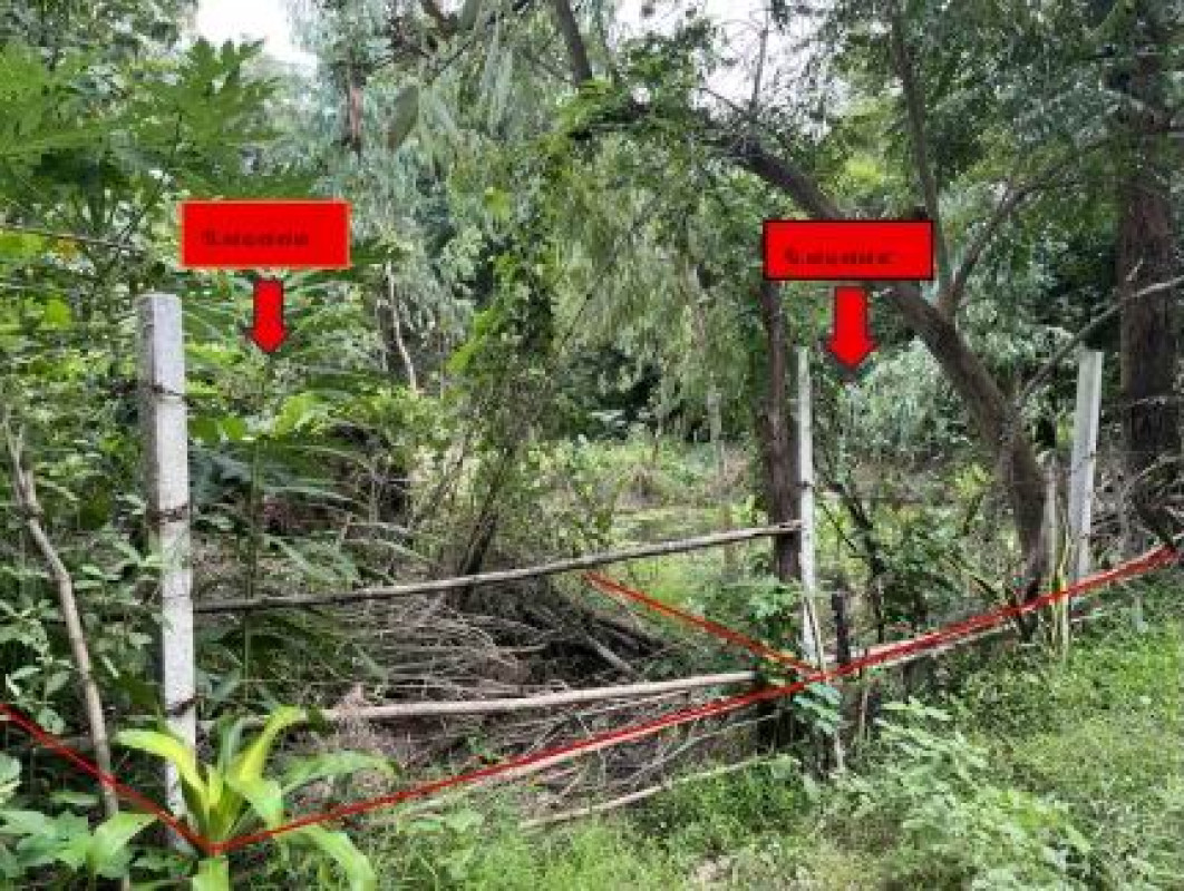 ที่ดินเปล่า นครราชสีมา ประทาย กระทุ่มราย 3705