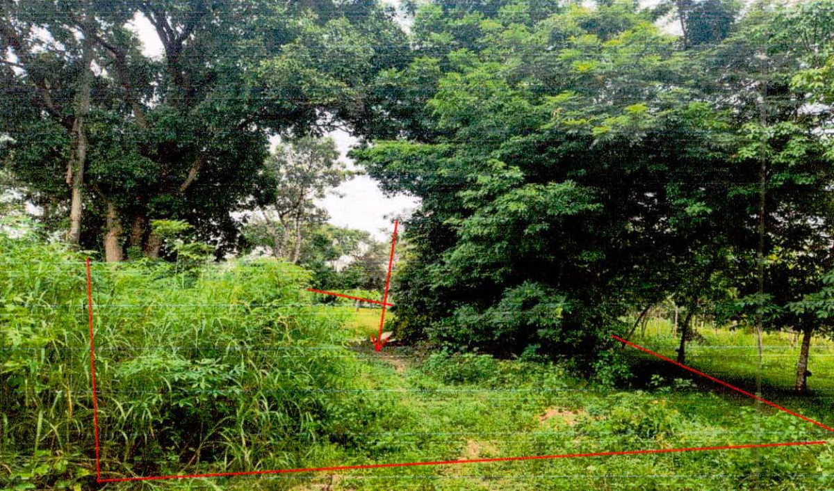 ที่ดินเปล่า ศรีสะเกษ โพธิ์ศรีสุวรรณ เสียว 120386