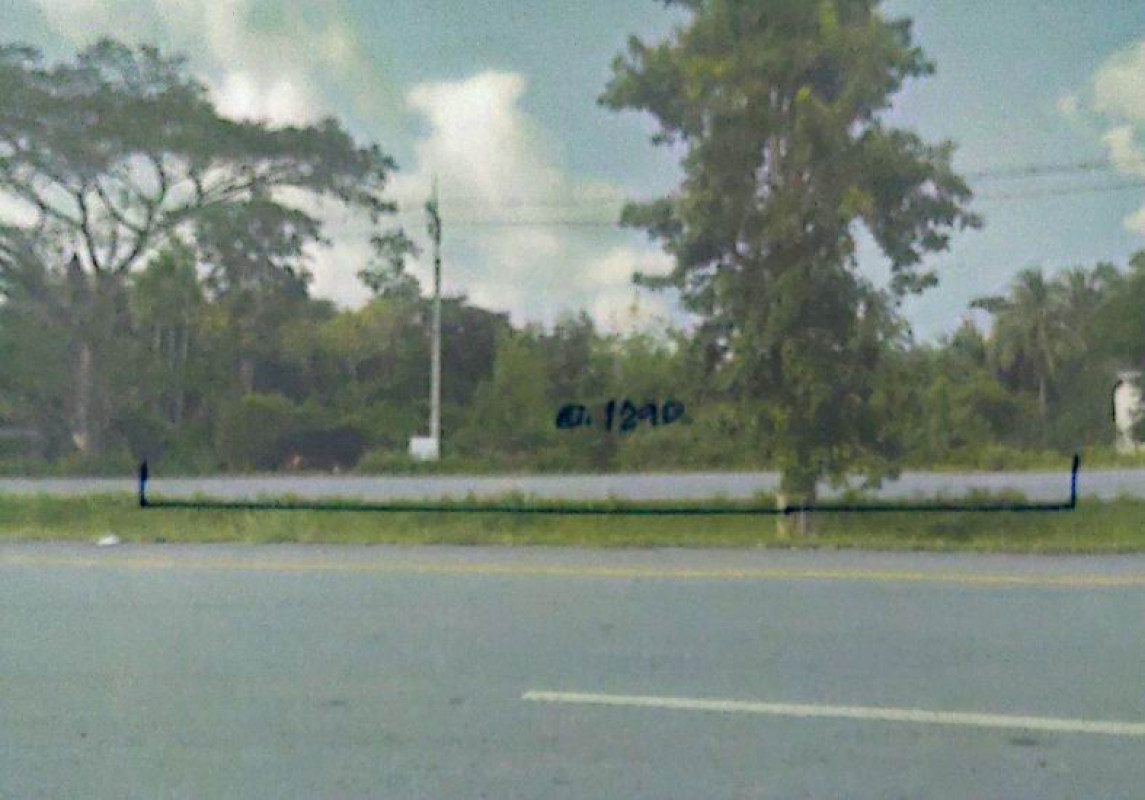 ที่ดินเปล่า นครศรีธรรมราช เชียรใหญ่ การะเกด 4425100