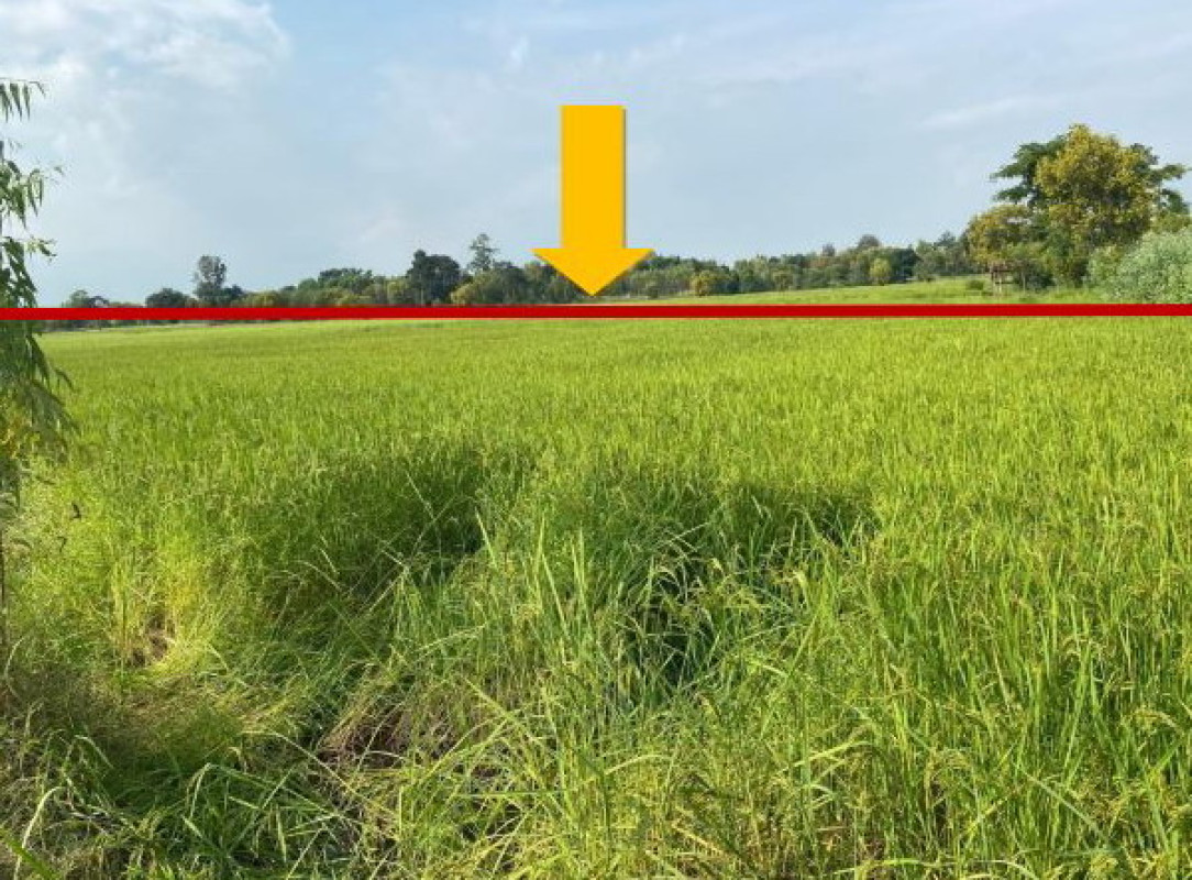 ที่ดินเปล่า มหาสารคาม ยางสีสุราช สร้างแซ่ง 1642890