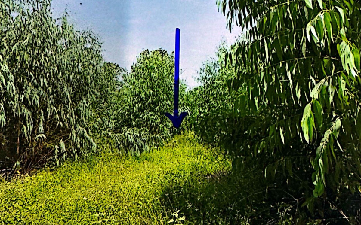 ที่ดินเปล่า นครราชสีมา ขามทะเลสอ บึงอ้อ 106400