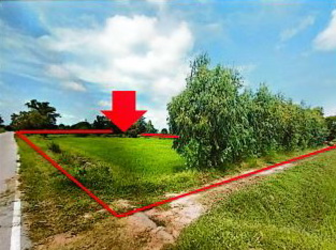 ที่ดินเปล่า ร้อยเอ็ด พนมไพร โพธิ์ใหญ่ 596400