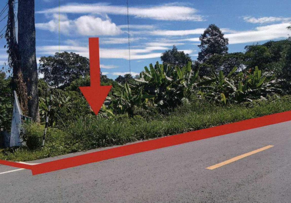 ที่ดินเปล่า สระบุรี เมืองสระบุรี หนองปลาไหล 457300