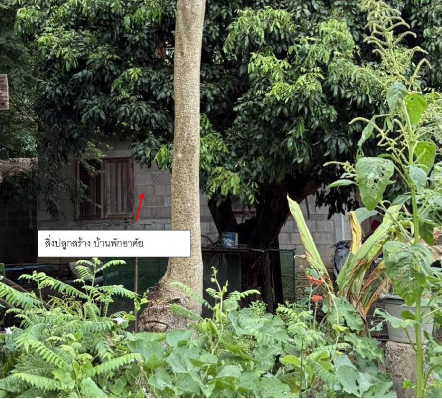 ทาวน์เฮ้าส์ เชียงใหม่ แม่ริม ขี้เหล็ก 453440