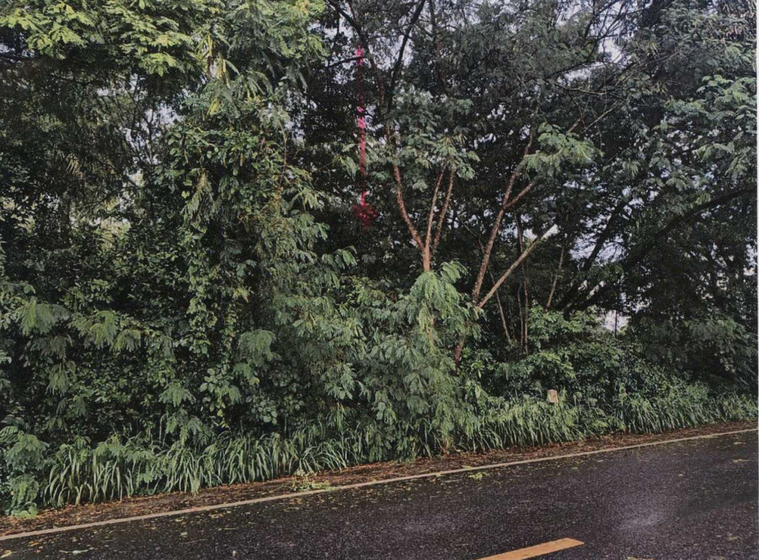 ที่ดินเปล่า สระบุรี เมืองสระบุรี หนองปลาไหล 120000