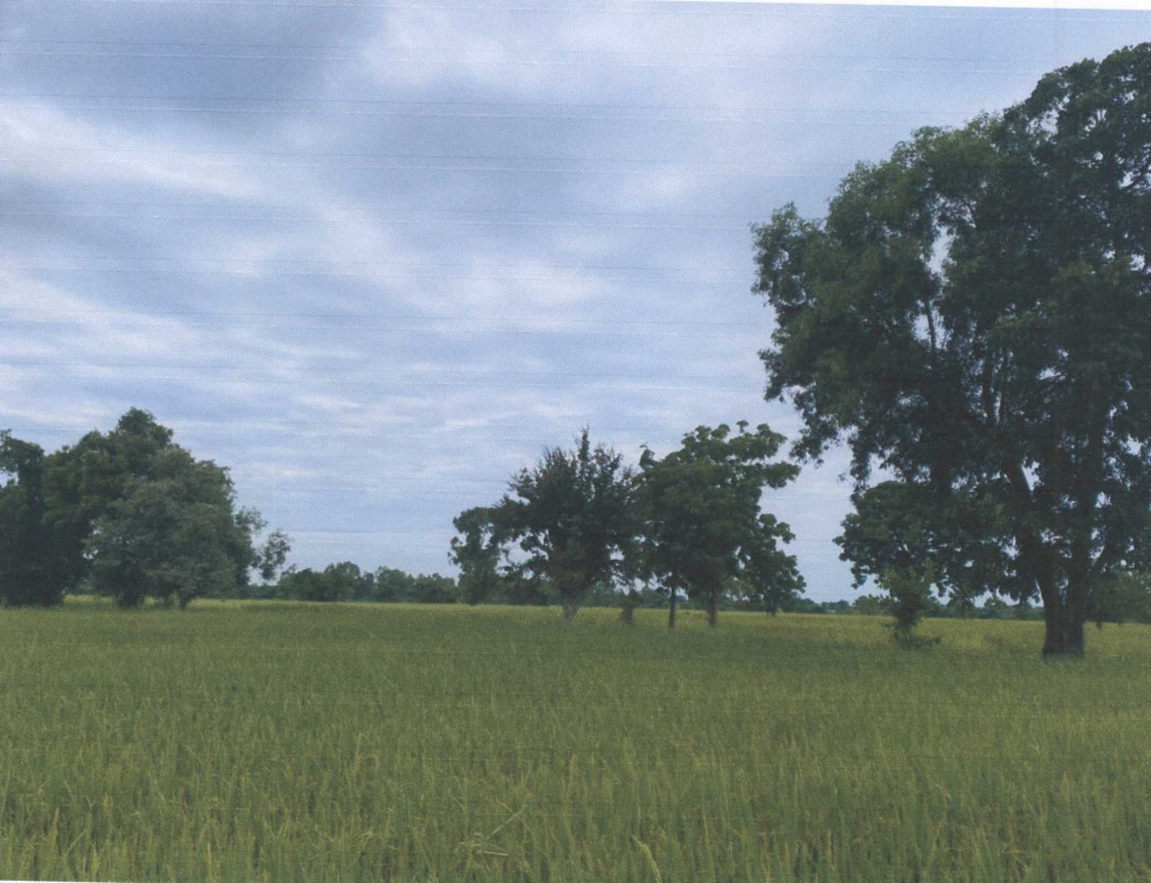 ที่ดินเปล่า มหาสารคาม เมืองมหาสารคาม เขวา 458100