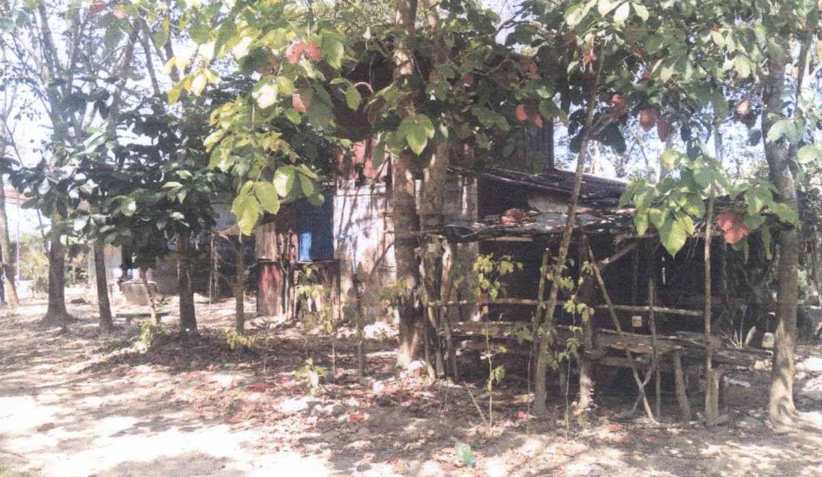 Single house Surat Thani Kanchanadit Chang Khwa 147420