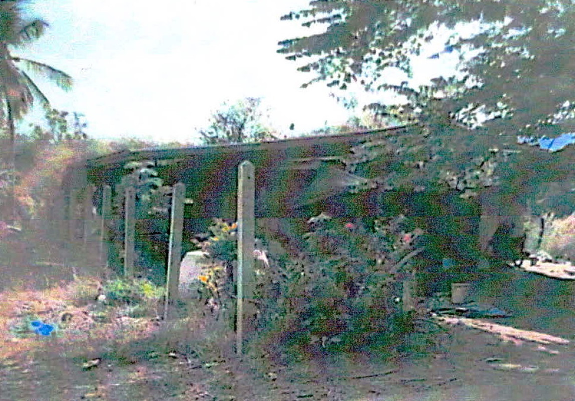 บ้านเดี่ยว เลย นาด้วง นาดอกคำ 337960