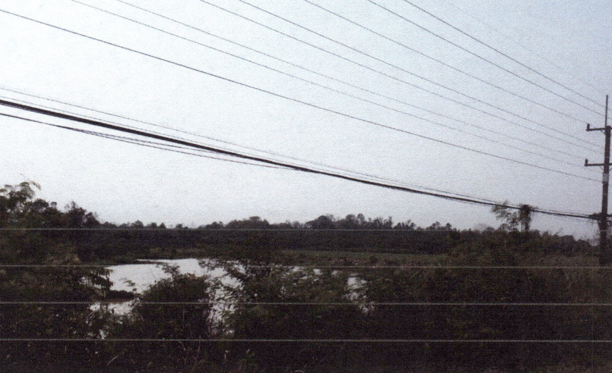 ที่ดินเปล่า เลย วังสะพุง ปากปวน 4224000