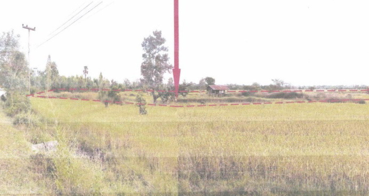 ที่ดินเปล่า สกลนคร สว่างแดนดิน ธาตุทอง 1077300