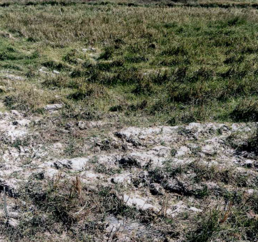 ที่ดินเปล่า นครราชสีมา ขามทะเลสอ บึงอ้อ 16000