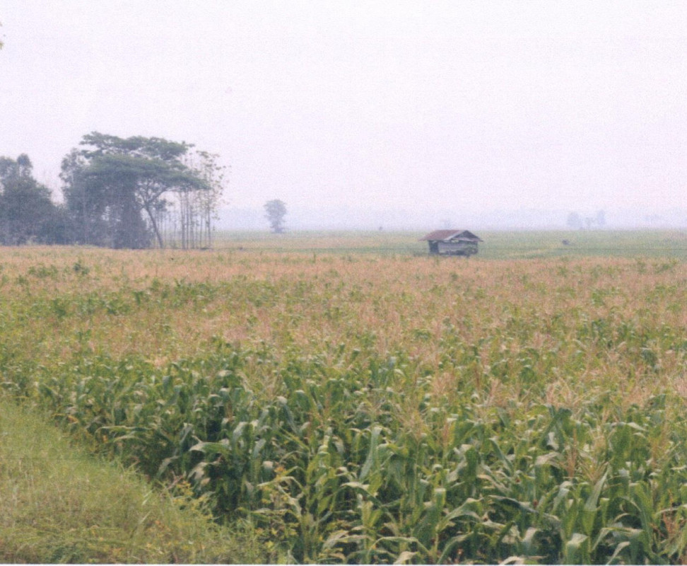 ที่ดินเปล่า แพร่ เมืองแพร่ ในเวียง 192600