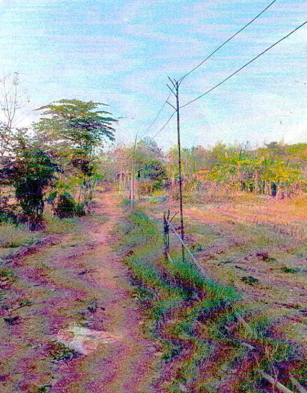 ที่ดินเปล่า เลย เชียงคาน ธาตุ 190260