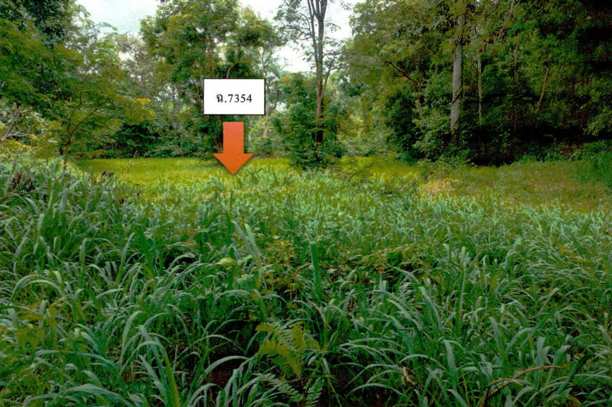 ที่ดินเปล่า อำนาจเจริญ พนา พนา 307800