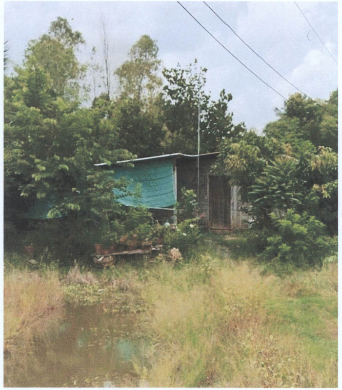 บ้านเดี่ยว พิจิตร ตะพานหิน ไทรโรงโขน 338480