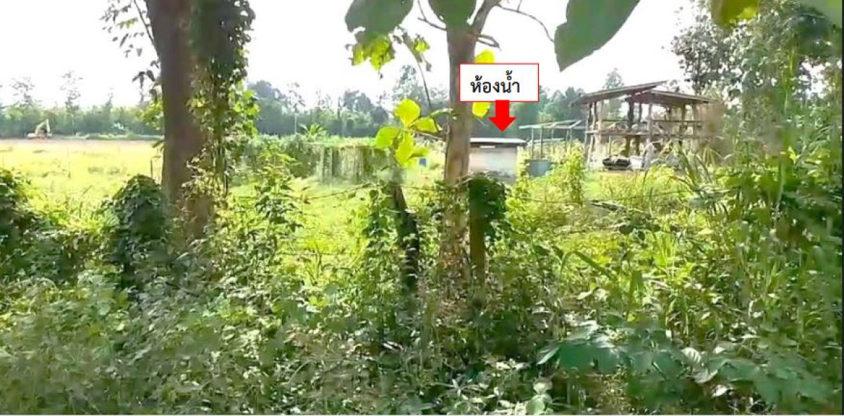 บ้านเดี่ยว อุดรธานี เพ็ญ นาพู่ 2040910