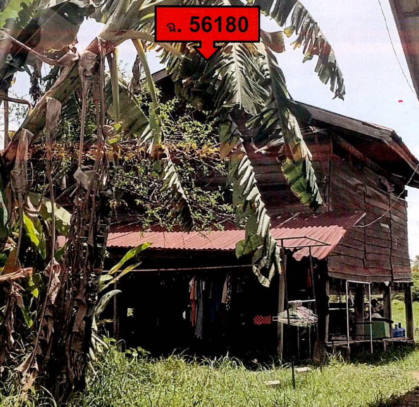 Single house Surin Mueang Surin Mueang Thi 82128