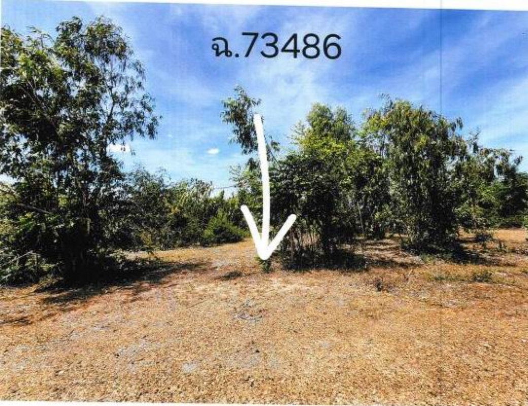 ที่ดินเปล่า นครราชสีมา ปักธงชัย ธงชัยเหนือ 140000