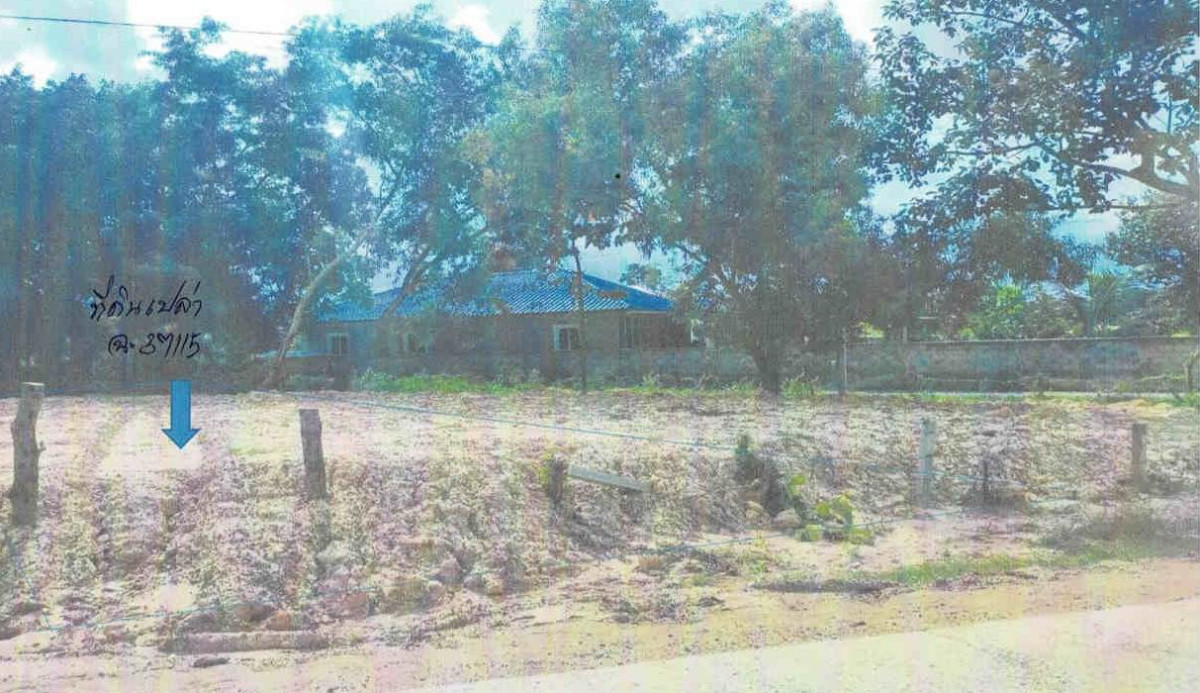 ที่ดินเปล่า นครราชสีมา ประทาย ประทาย 100000